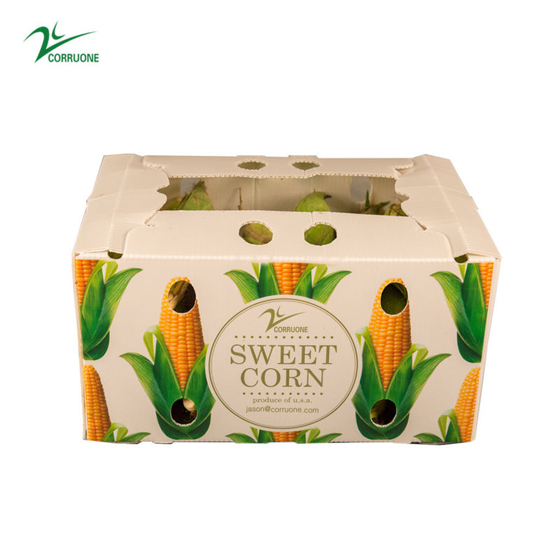 Caja de almacenamiento de plástico PP Caja de plástico corrugado PP para hortalizas, frutas y agricultura Caja de embalaje