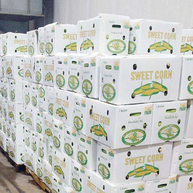 Producto plegable de venta caliente Eco-friendly Hoja protectora duradera Caja de plástico de frutas y verduras